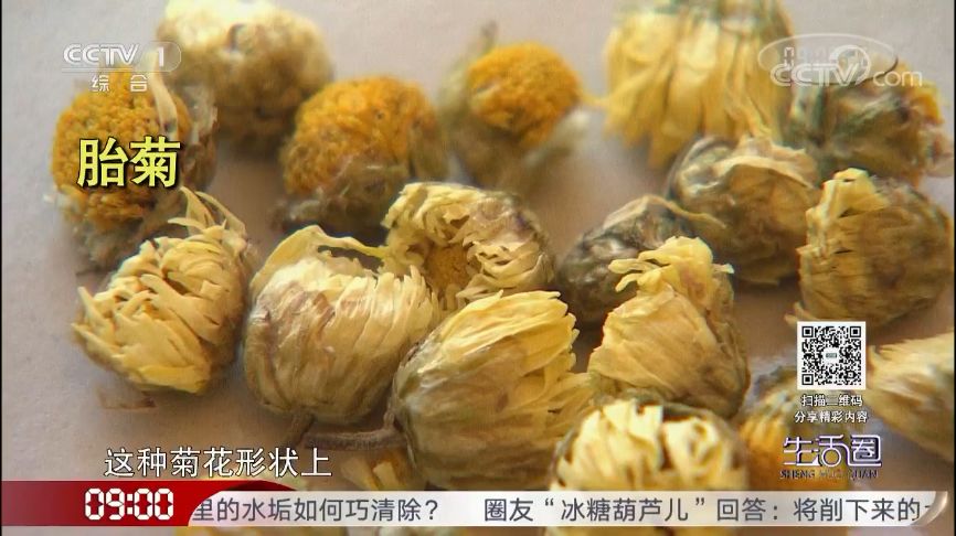 哪种菊花茶清热去火效果最好,蒲公英和菊花茶能清热去火吗