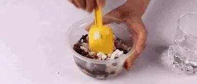 洗衣粉杀死蟑螂后蟑螂还会活吗,用洗衣粉喷蟑螂蟑螂会立马死吗