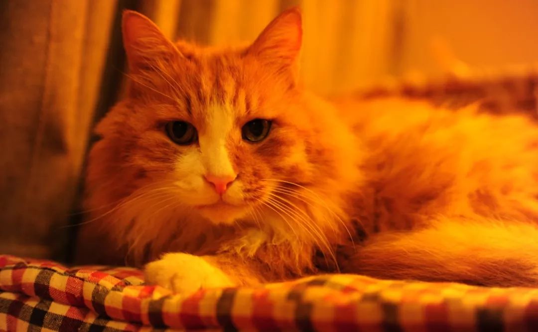 这个遥控器叫“挤粉刺”，按的时候就像我们在挤自己的青春痘