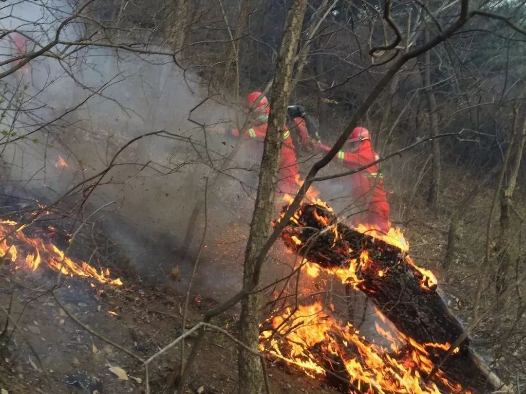 这25种药品大幅降价,广东25种药降价