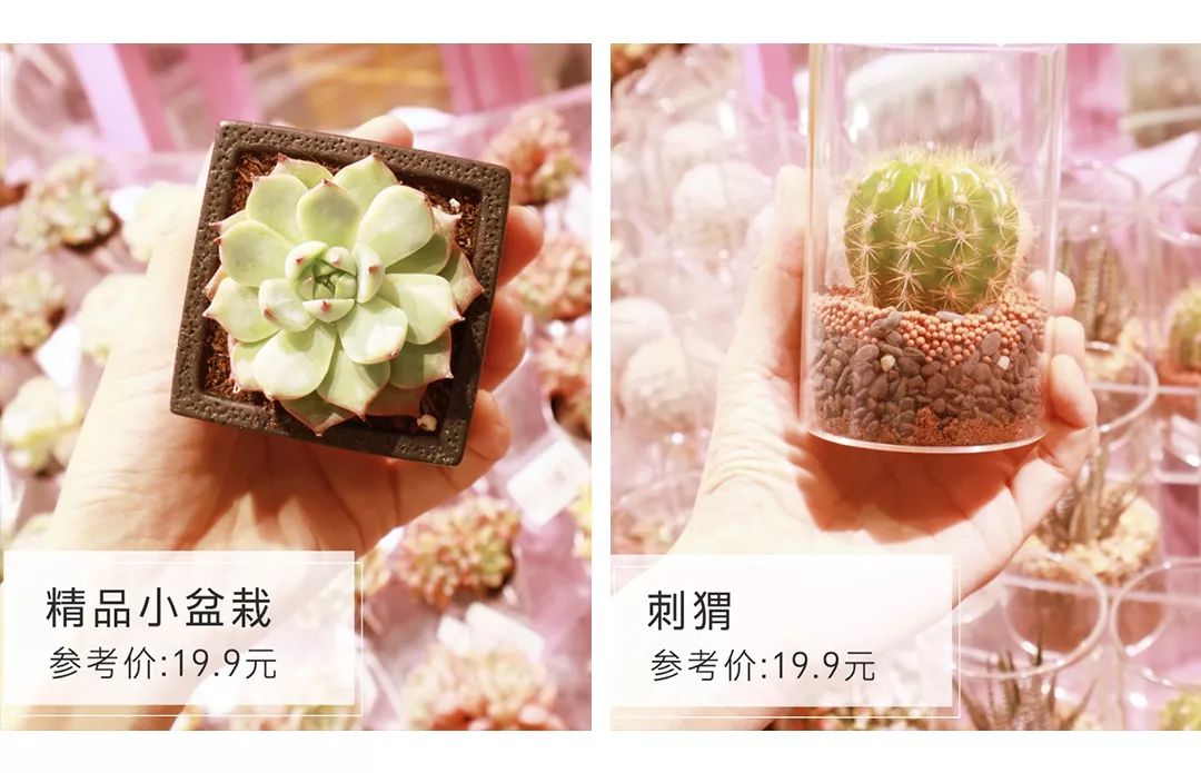 为什么口红官网比代购便宜,代购口红比官网便宜