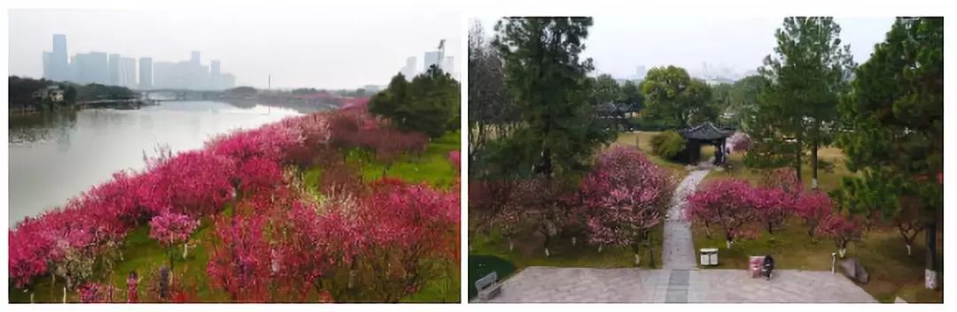 义乌最美的风景区是哪,义乌佛堂网红打卡地