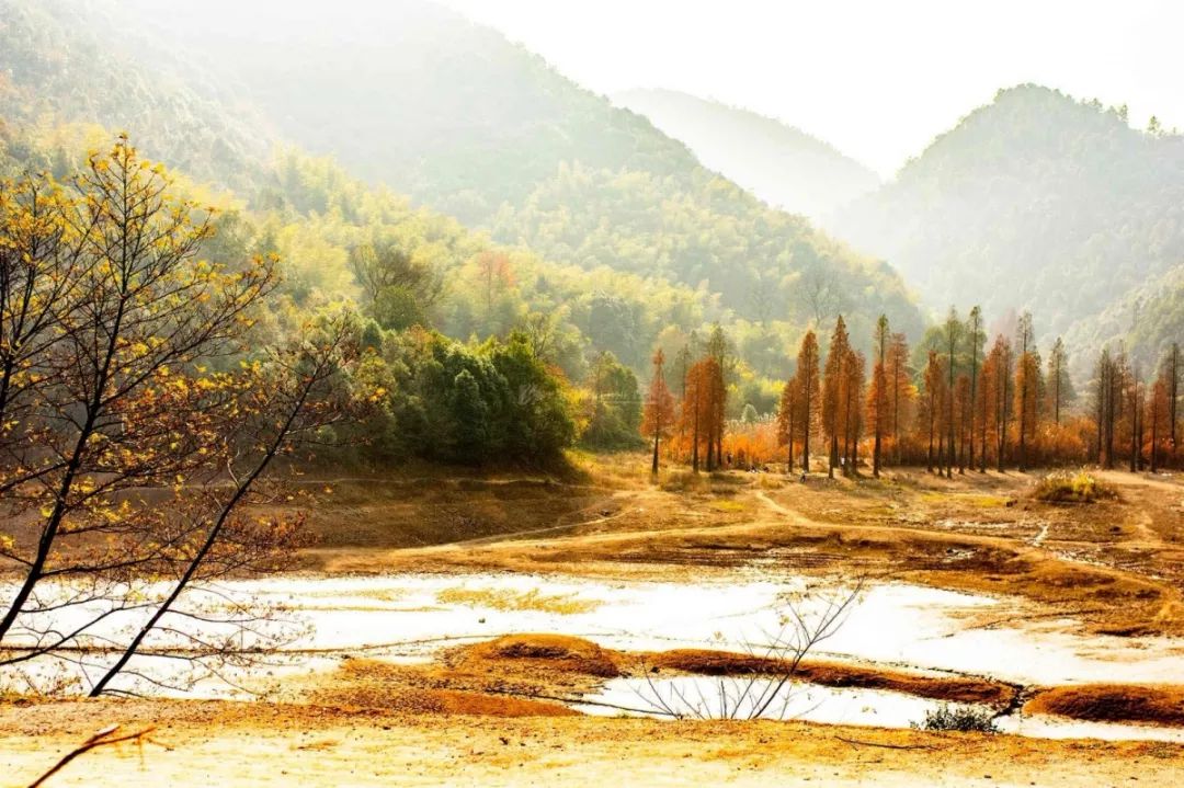 长沙梅溪湖拍照的网红打卡地,长沙梅溪湖网红打卡地在哪个站下