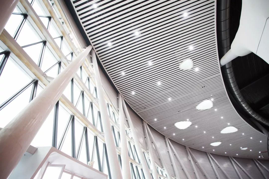 大写的牛！肇庆新区体育中心喜获“国优”工程荣誉