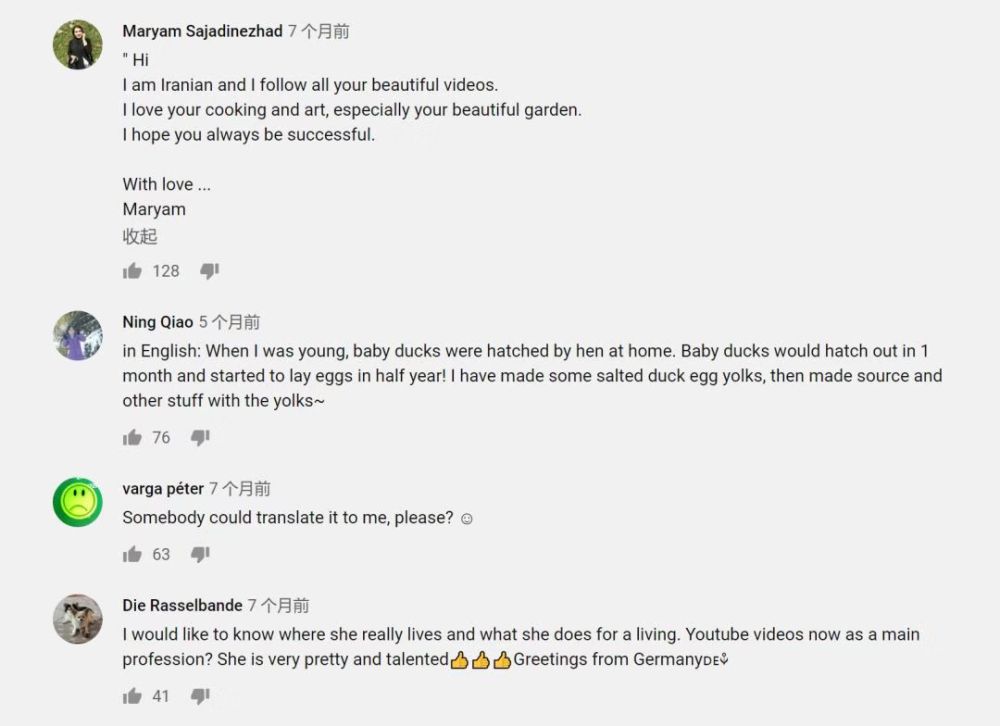 李子柒央视说最想做的三件事,李子柒受到央视表扬