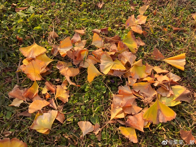 最新福州温泉公园,福州温泉公园