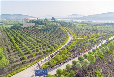 增木材强生态富民生实现生态经济效益双丰收——南阳市强力推进国家储备林项目建设