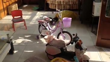 3岁女童被拐走后又找回来了,3岁女儿被拐17年后找到了吗