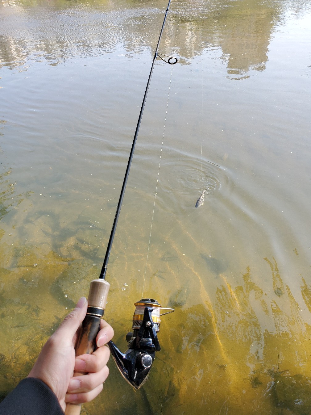 路亚打竿新手入门教程,新手路亚打翘嘴视频教程