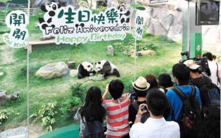 曾经的辉煌历史澳门风云,三年前看澳门风云