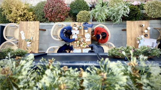 茑屋书店将登陆上海;上海新世界城携400家新品店重新开业;周杰伦“J-tea魔杰的茶”全球首店上海开业|猫头鹰商业周报