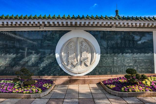 猝不及防闯入你的容颜|你好,青岛