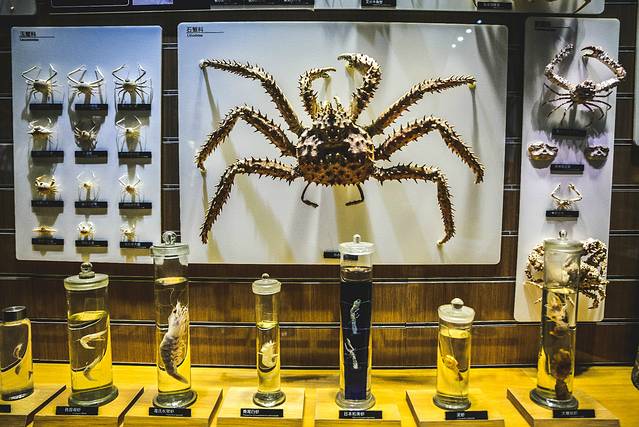 猝不及防闯入你的容颜|你好,青岛