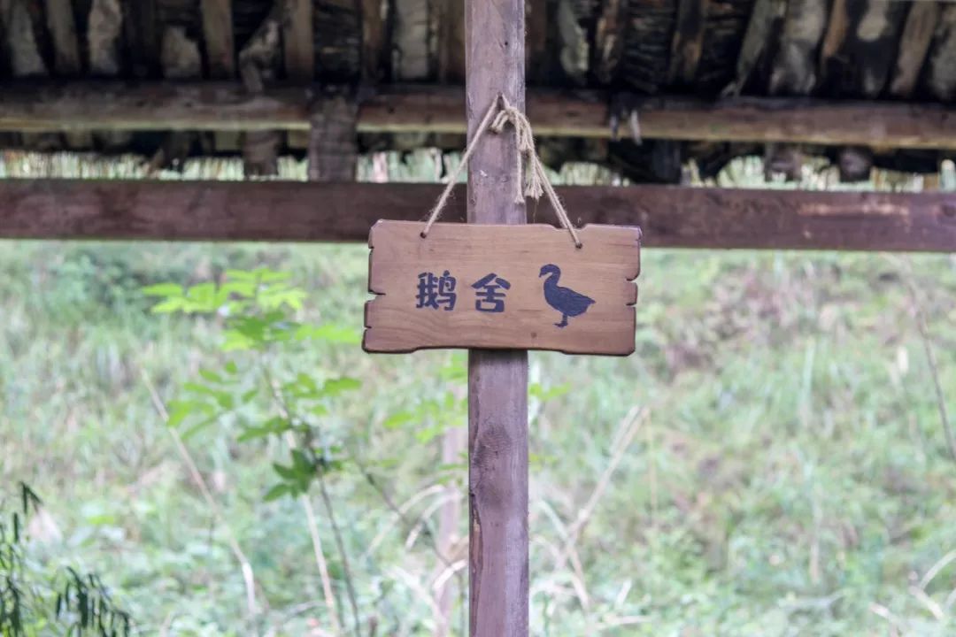 山水环抱、私汤入户|是时候造访全球首家悦榕庄温泉度假村了