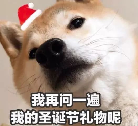 开箱特辑#3|我的圣诞礼物已经上“鹿”了，你的呢