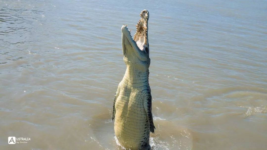 澳洲必去的几个地方,澳大利亚哪些景点值得去
