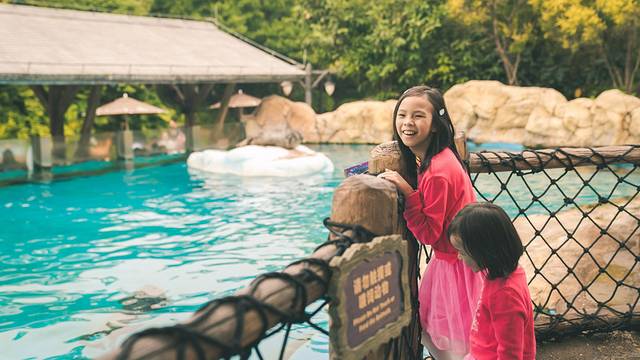 珠海长隆海洋王国海底夜宿,珠海长隆海洋王国鲸鲨馆海底区