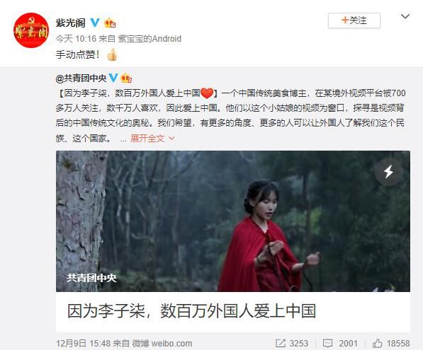 李子柒成中国海外第一红人,李子柒火遍全球的视频