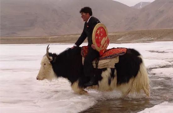 孝金波人民网,孝金波