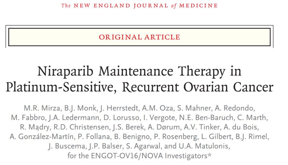 从轰动全球到不能验证,尼拉帕利国内上市时间