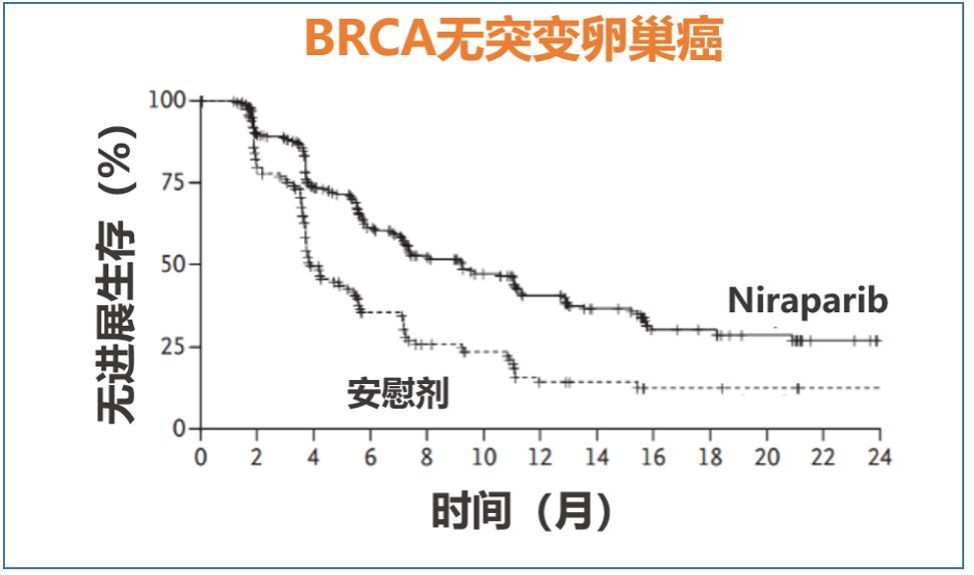 从轰动全球到不能验证,尼拉帕利国内上市时间
