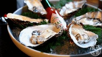 风靡全球几百年的健力士终于在魔都落户！这场盛会就差你了