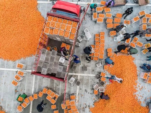 涓存捣5a鏅尯鍗冨勾鍙ゅ煄,澶х編涓存捣婕鍗冨勾鍙ゅ煄