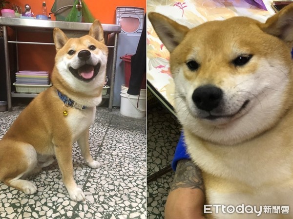 痴汉柴见短裙黑丝辣妹起色心！　双手环抱美腿做不雅动作