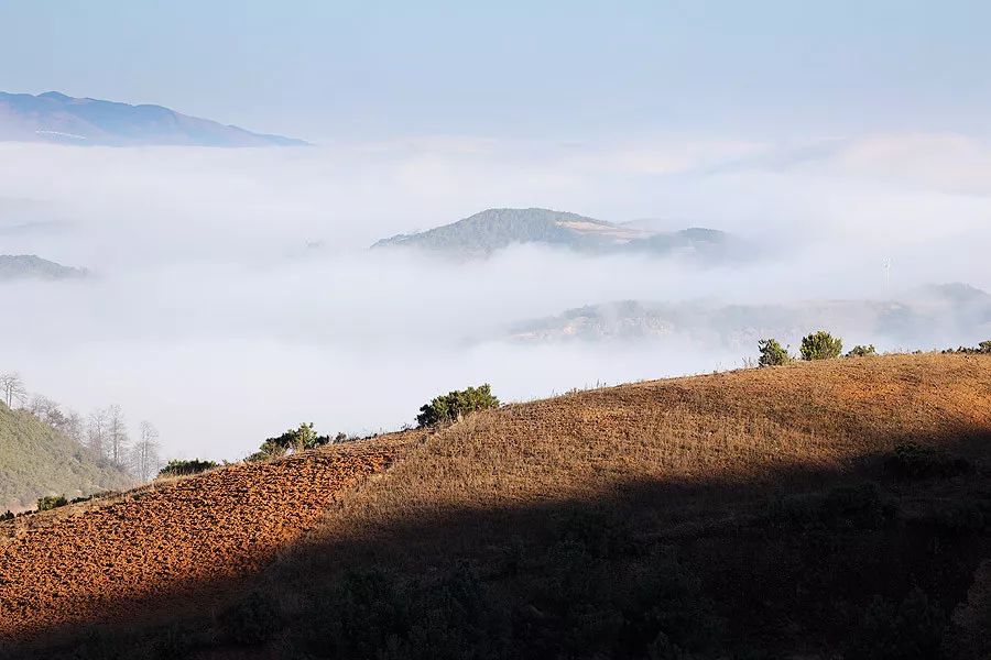 天涯咫尺，如见故人|2019小林摄影总结
