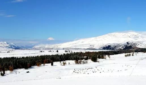 冬游草原天路,草原天路冬日自驾游攻略