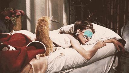 法国Lérane草本净螨贴，萃取天然植物，除螨更安心