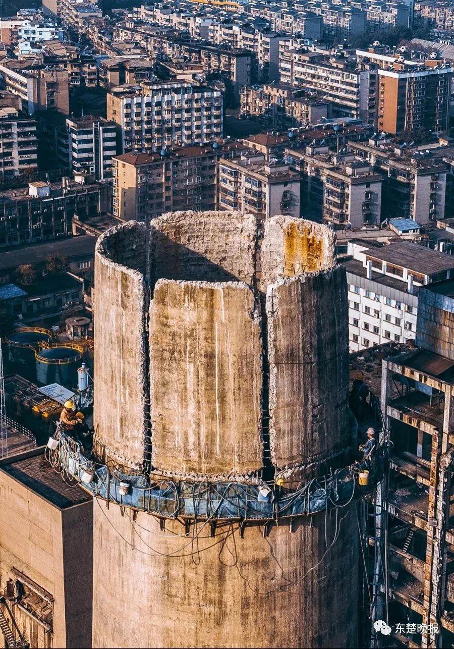 365天，行走3.2万千米，拍摄13万张照片！黄石人到底有多“野”？