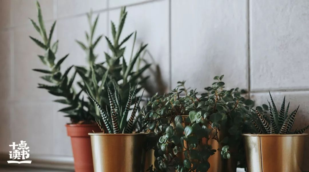 破窗效应的典型案例,破窗效应的安全启示