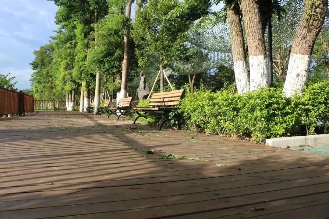 柳城周边游玩景点推荐,柳北旅游推荐