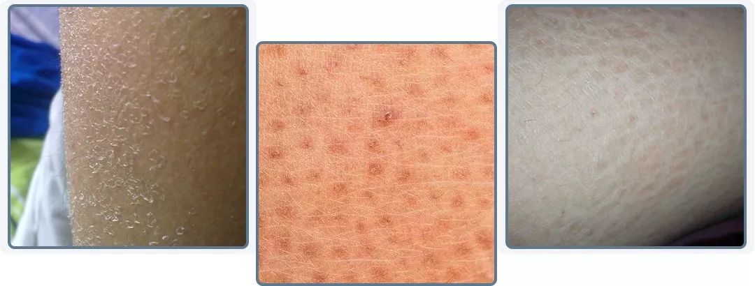 过年需要准备的年货清单,过年了你最想要什么呢