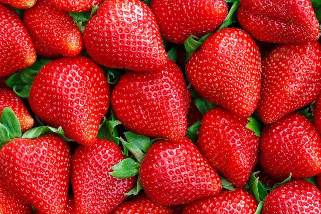 吃过10个算我输!本地人盖戳的年货清单揭秘