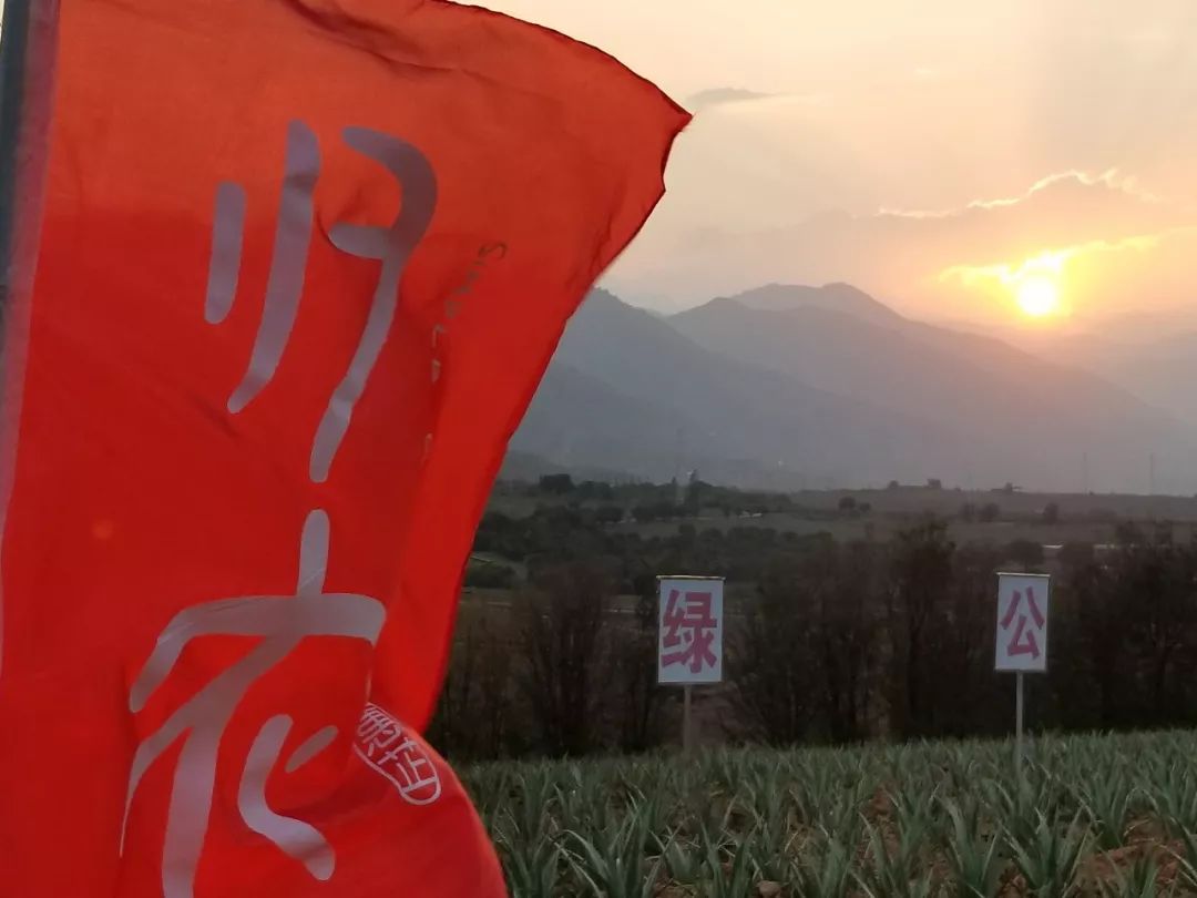 归农，颠覆电商模式促进乡村振兴