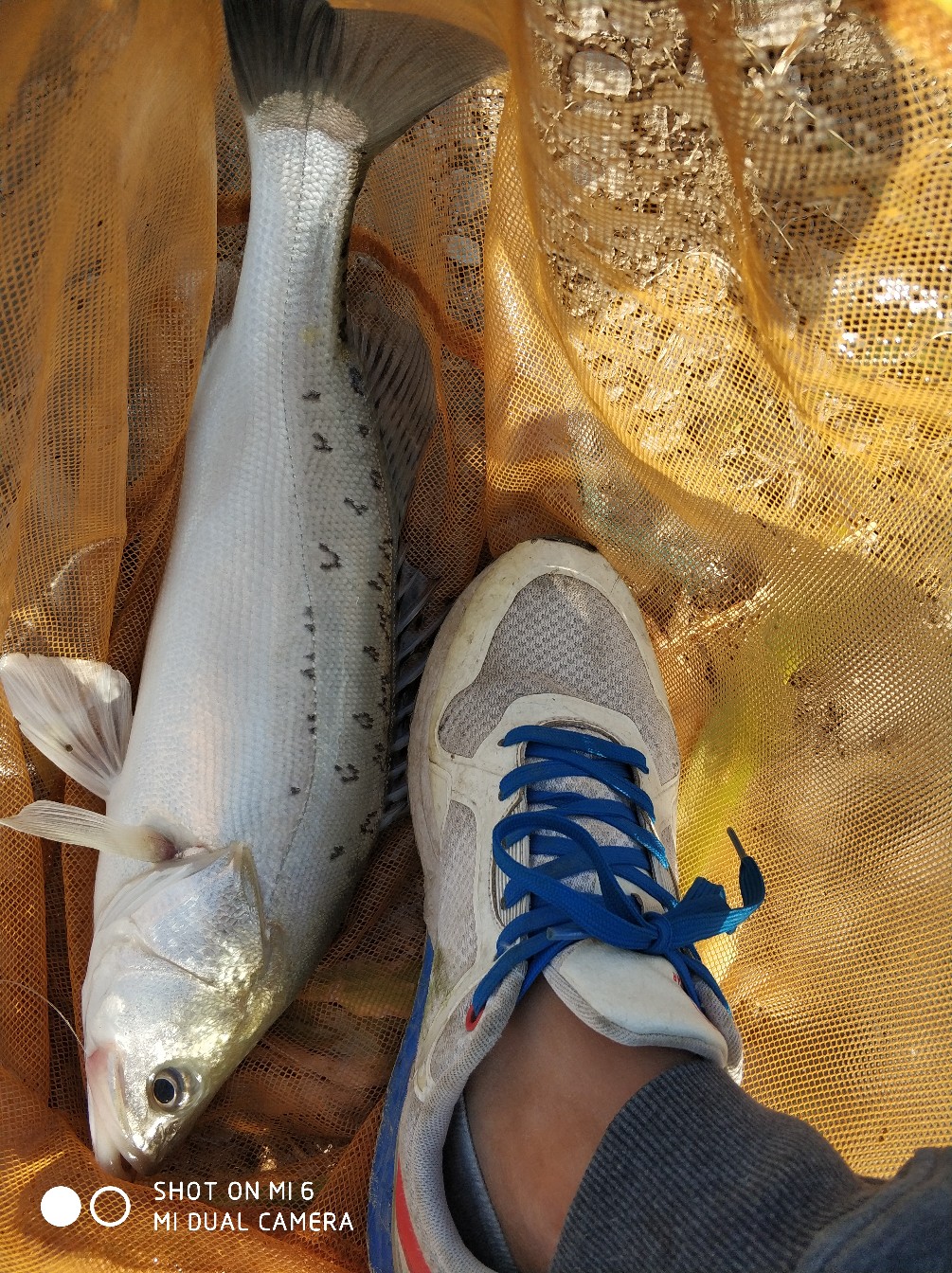 不懂钓鱼的人开渔具店,多少钓友才适合开渔具店