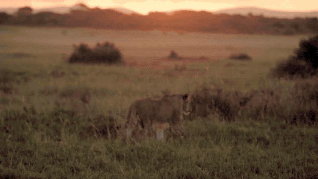2023年去南非安全吗,国内怎么去南非最划算