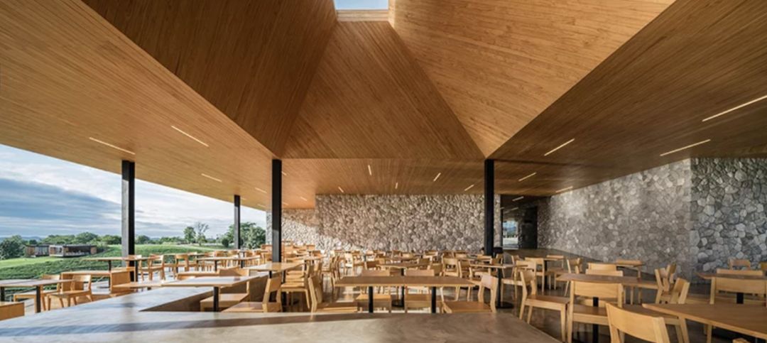 “白化病姐妹”逆袭时尚界；MAC“砸”故宫招牌？阿里“无隐私”大厦...「设计烩报296期」