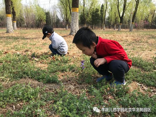 李跃儿芭学园地址,李跃儿芭学园在哪里