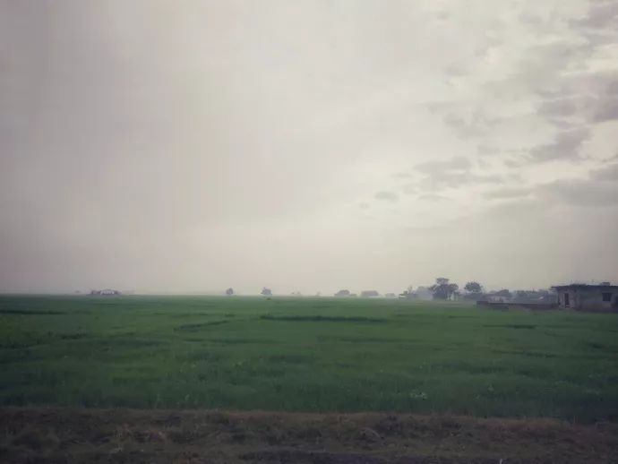 尼泊尔中华寺视频,尼泊尔蓝毗尼中华寺离韩国寺多远