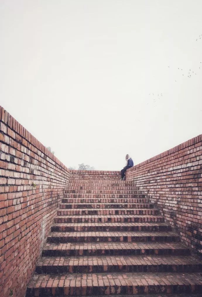 尼泊尔中华寺视频,尼泊尔蓝毗尼中华寺离韩国寺多远