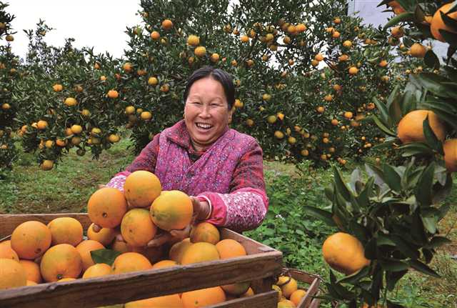 秀山县融合五大产业巩固脱贫成果,重庆秀山脱贫攻坚短视频