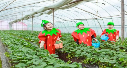 奉化旅游春节,五一奉化旅游攻略