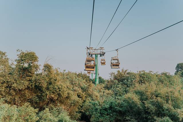 来长隆隆重过大年暖冬游长隆,暖冬游长隆福路通