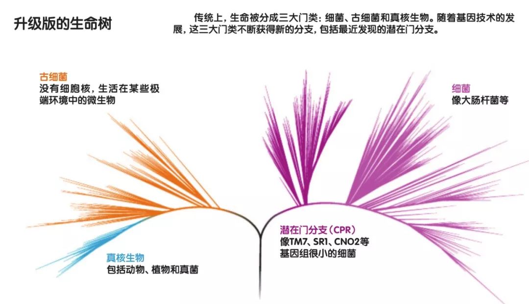 我们身上神秘的微生物群