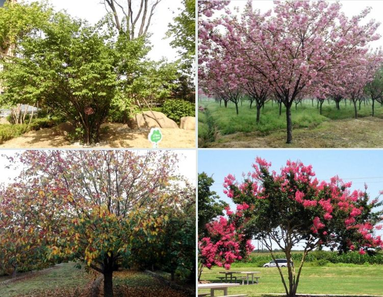 田园景观设计图解,静安区庭院园林景观设计规范