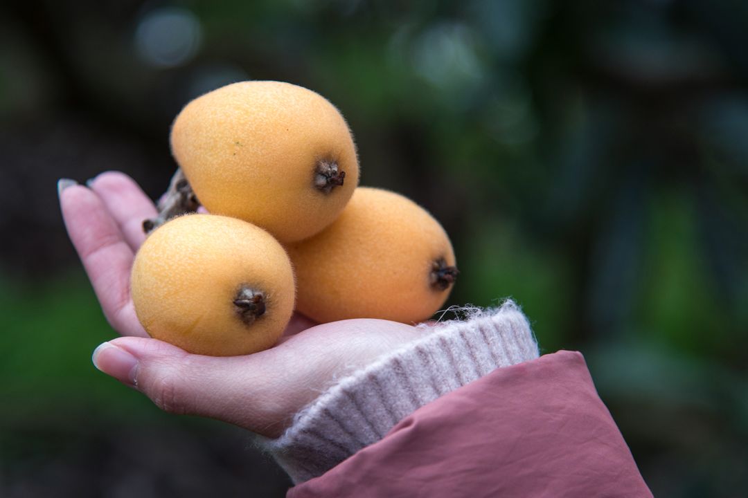 吃喝玩乐云霄,云霄吃喝玩乐一日攻略