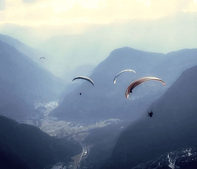 贝尔格里尔斯求生知识,贝尔格里尔斯告诉我们的什么道理